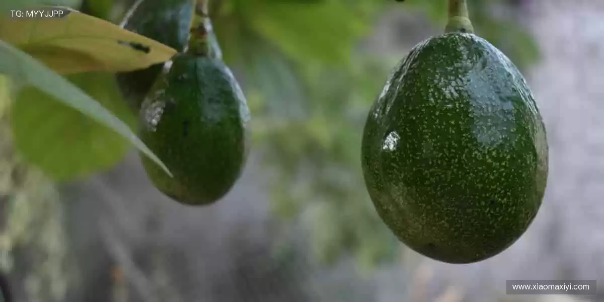 运动生活,触手可及!🏋️♂️🛒